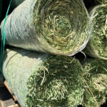 Erosiontech ETX-2-100 Green by MKB