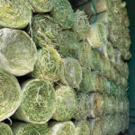 Erosiontech ETX-1-100 Green